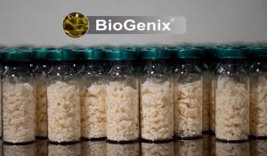 BioGenix Kemik Grefti