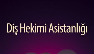 Diş Hekimi Asistanları için Rehber