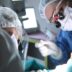 Kadavra Uygulamalı Dental İmplantoloji Kursu