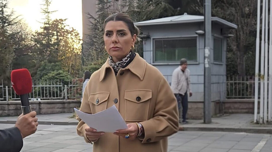 DİŞHEK-SEN Başkanı Banu Yıldırım