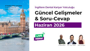 İngiltere Webinar